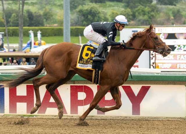 Top 4 Kentucky Derby Contenders ranked