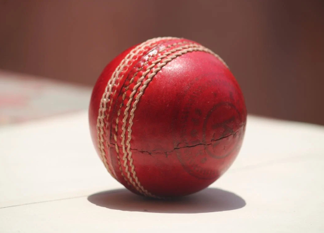 Cricket Ball