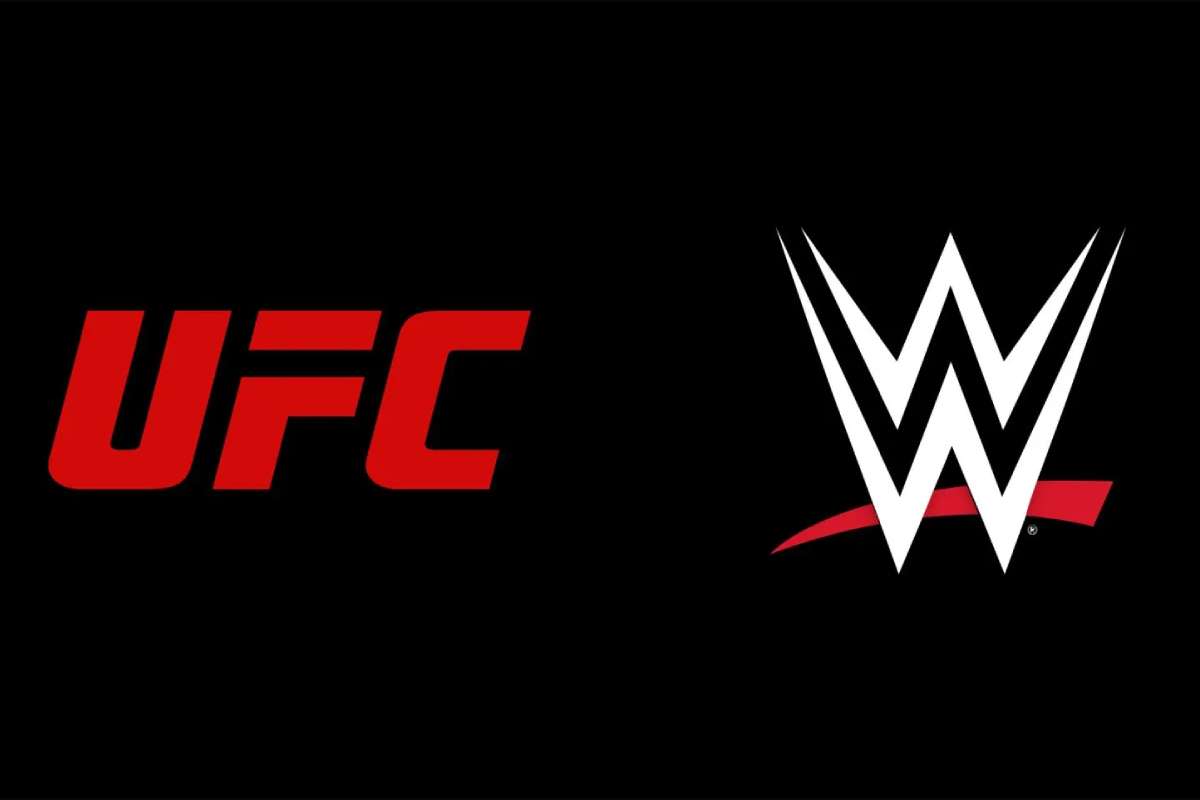 UFC And WWE