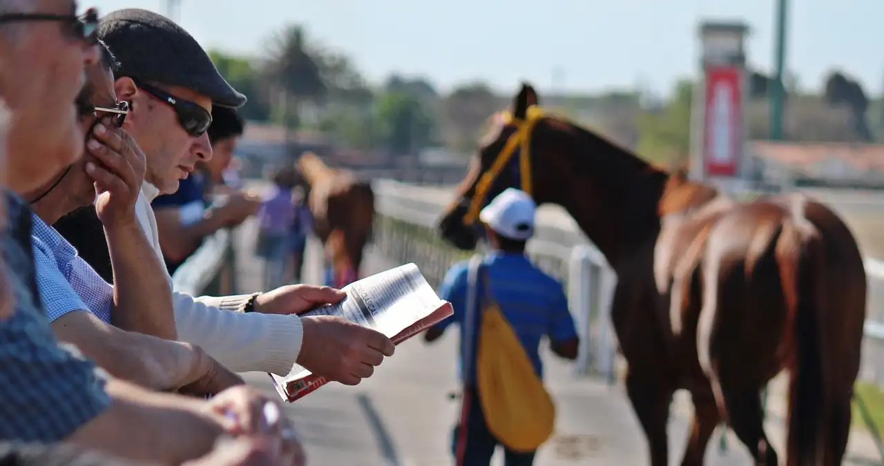 Under-the-Radar Kentucky Derby Contenders Shaking Up the Betting Field