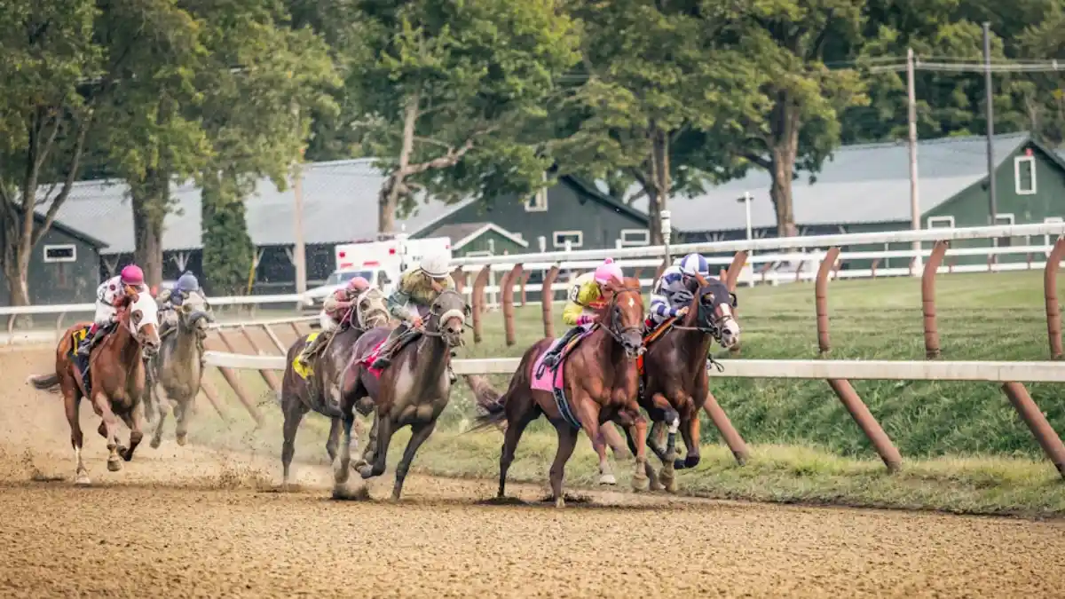 Underdogs and Favorites: Breaking Down the Possible Preakness Stakes Field